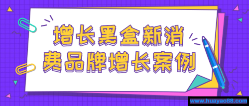 增长黑盒新消费品牌增长案例